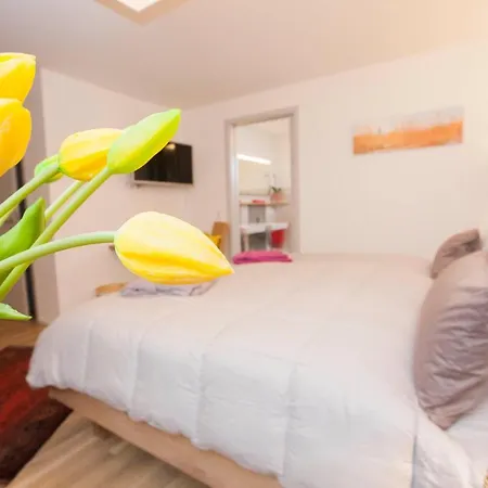 Ferienwohnung Wanner - Hintere Gasse Appartement *